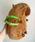Capibara 45 cm