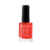 Esmaltes 21 free - Excelencia Bagues