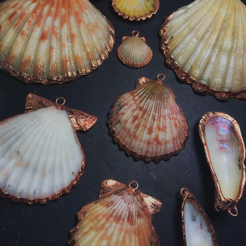 Banner de la categoría Galería de perlas y espirales