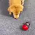 BRINQUEDO INTERATIVO PARA ANIMAIS DE ESTIMAÇÃO - loja online
