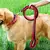 COLEIRA NYLON PARA CÃES RESISTENTE