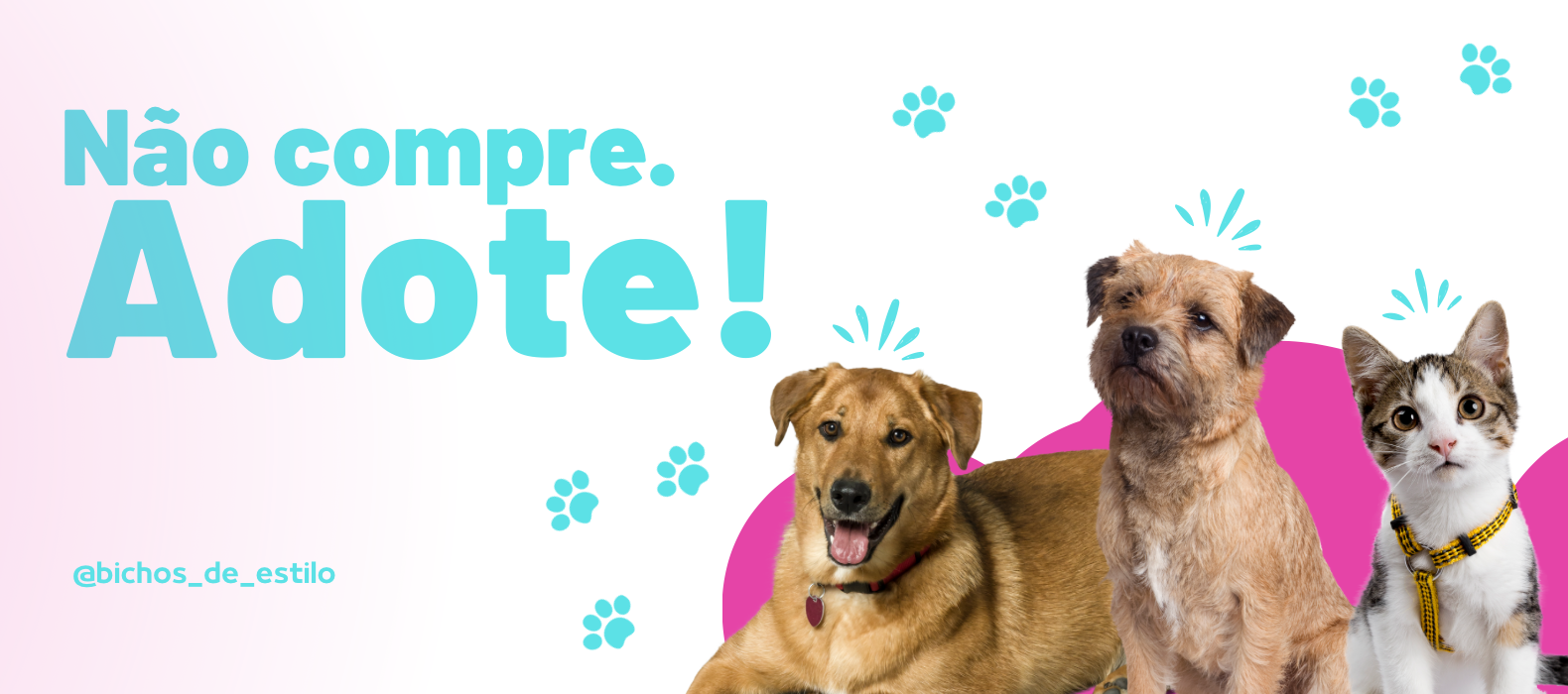 Banner de Bichos de Estilo