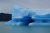 EL CALAFATE na internet