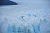 Imagem do EL CALAFATE
