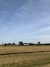DÍA DE CAMPO TRADIONAL | Full day en internet
