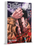 Jujustu Kaisen Vol.13