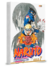 Naruto Gold Vol.7