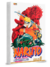 Naruto Gold Vol.8