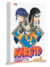 Naruto Gold Vol.9
