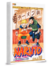Naruto Gold Vol.16