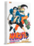 Naruto Gold Vol.22