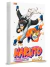 Naruto Gold Vol.23