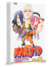 Naruto Gold Vol.24