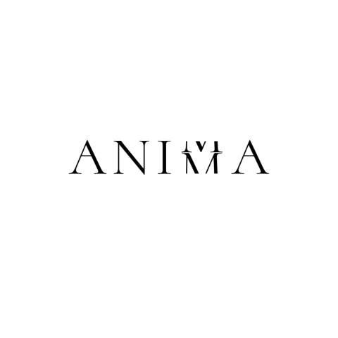 Anima Joyeria