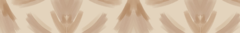 Banner de la categoría Labiales
