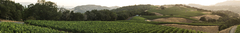 Banner de la categoría Simonassi Lyon