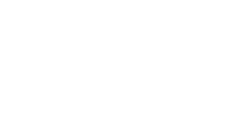 Aguará Guazú