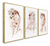 Quadros Decorativos Estetica Anatomia Botox Clinica Moldura