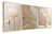 Quadros Decorativos Flores Bege Abstrato Gold Sala Moldura