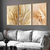 Quadros Decorativos Flor Folhagem Palma Boho Clean Moldura na internet