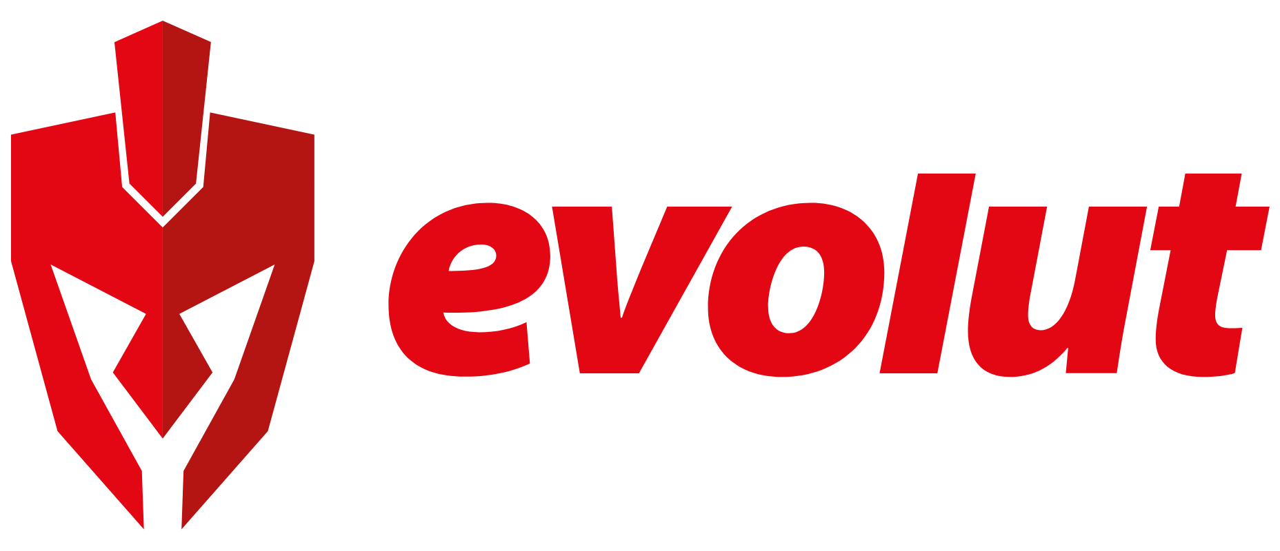 Evolut Gamer