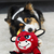 Peluche plush jumball para perro - Instintopetshop Arg