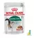 Royal Canin Gato Instictive +7 pouch alimento