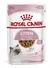 oyal Canin Feline Health Nutrition Kitten alimento para gato de temprana edad sabor pan en salsa en bolsa de 85gr - comprar online