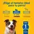Pedigree Dentastix Razas Medianas 3 Unids. - Instintopetshop Arg