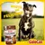 Bocaditos Para Perro Chocolate C/leche X 500 Grs - Instintopetshop Arg