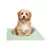 Paño Pet Paños Sanitarios Educativos PañoPet Compact Mini 45x55 Cm - Paño Pet 10 Un - comprar online