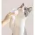 Toallitas Humedas Perro Gato Paños Patas Orejas Limpias , paquete de 30 unidades - Instintopetshop Arg