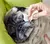 Toallitas Humedas Perro Gato Paños Patas Orejas Limpias , paquete de 30 unidades - tienda online