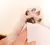 Imagen de Toallitas Humedas Perro Gato Paños Patas Orejas Limpias , paquete de 30 unidades
