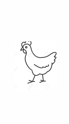 Banner de la categoría AVES 