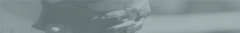 Banner de la categoría Breeches