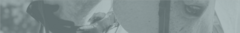 Banner de la categoría Caballos