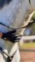 Guantes - EGO 7 en internet