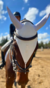 Orejeras - Xanthus - comprar online