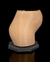 Sistema Reprodutivo Feminino 3d - loja online