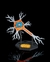 Célula Neural 3D
