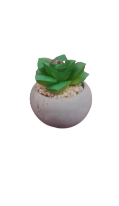 Maceta deco - tienda online