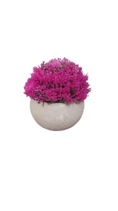 Maceta deco - comprar online