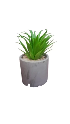 Maceta deco