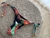 Bikini SORRENTO en internet