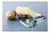 Pelador De Acero Inoxidable Killer Peeler Giga Svim - Cook And Love
