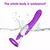 Vibrador de língua para mulheres, Chupador de mamilo aquecido, Lamber Oral Aper