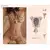 Cueca de pelúcia bonito definido para mulheres, Lingeries tigre bonito, Polka Dot, Role Playing menina, Lingerie Three Point, Porno Fantasia - HotSexy