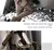 Lingerie Sexy Erótica para Mulheres, Teddy, Leopardo, Gato, Trajes Cosplay Menina na internet