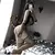 Lingerie Sexy Erótica para Mulheres, Teddy, Leopardo, Gato, Trajes Cosplay Menina na internet